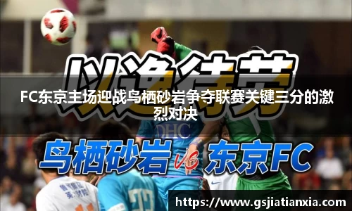 FC东京主场迎战鸟栖砂岩争夺联赛关键三分的激烈对决
