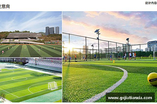 认识乐动LDSports